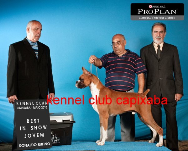 Clique sobre a foto para fechar